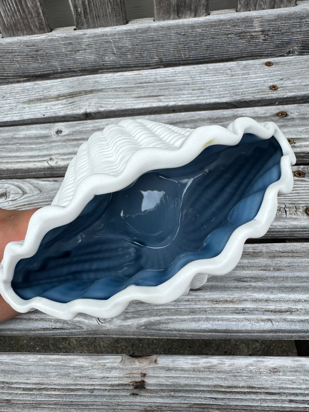 Seashell Vase