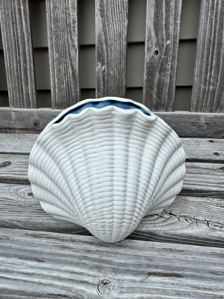 Seashell Vase