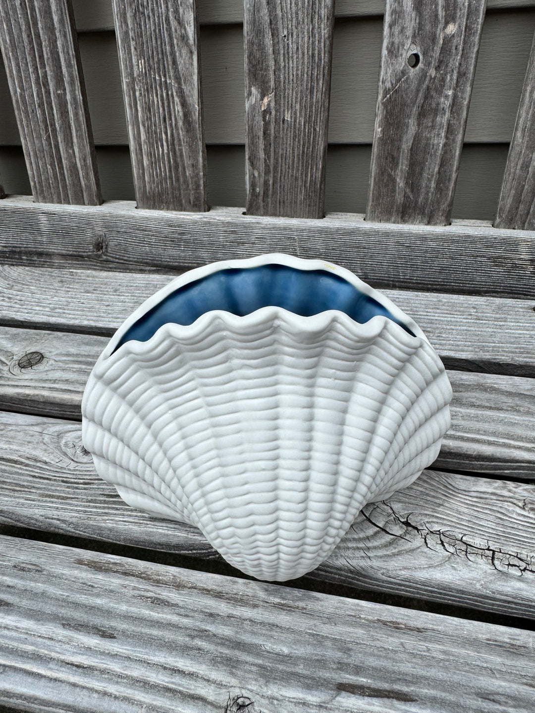 Seashell Vase