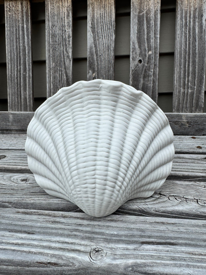 Seashell Vase