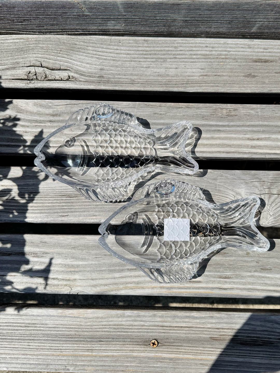 Fish Dish