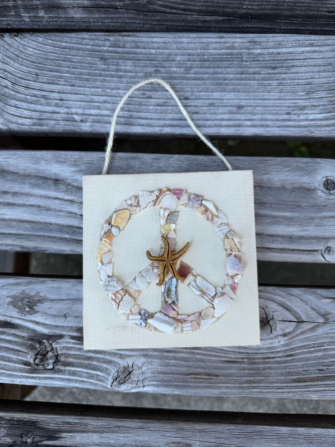 Seashell Ornament