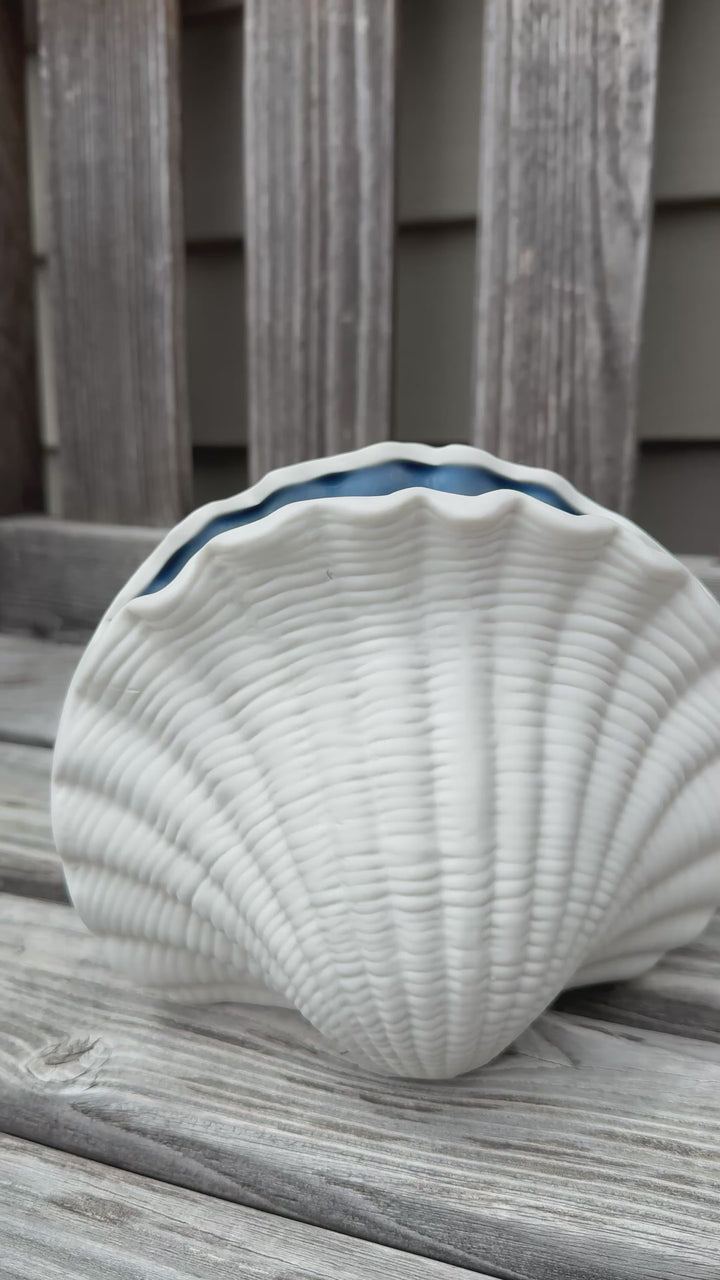 Seashell Vase